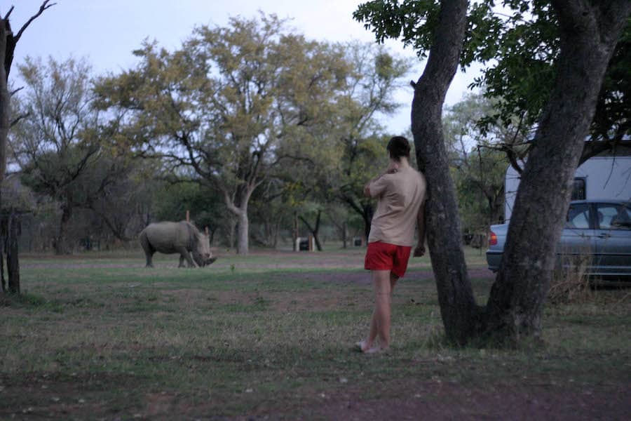 Muž pozorujúci nosorožcov