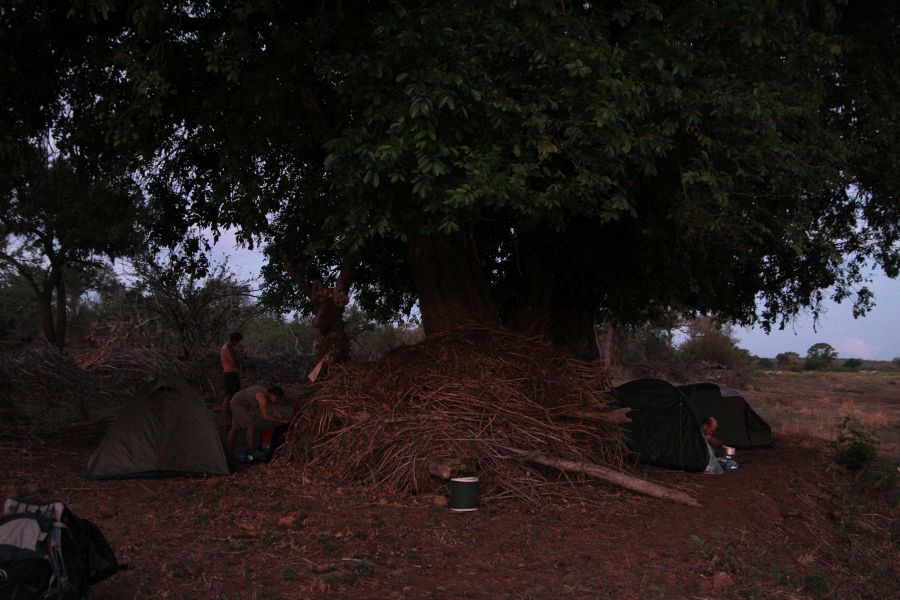Kempovanie pod stromom vo vnútri Afriky