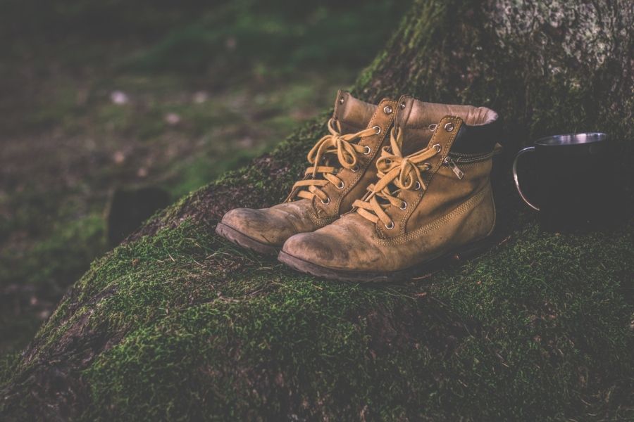 Kožená obuv na machu v lese pri strome