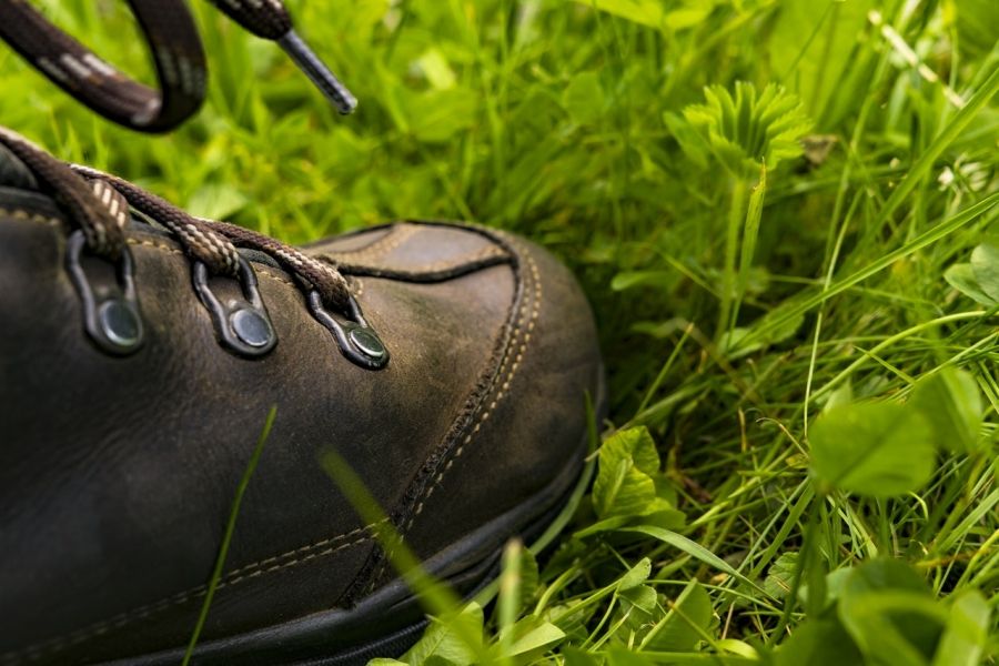 Kožené hnedé topánky vo vysokej tráve