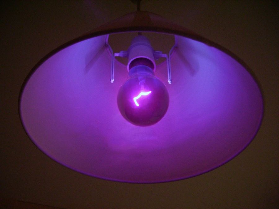 Žiarovka s ultrafialovým svetlom