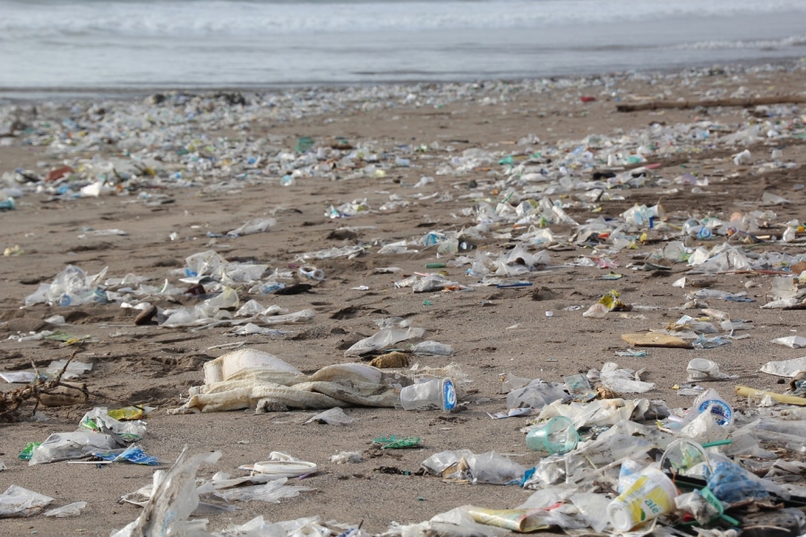 Znečistená pláž plastovými odpadky